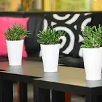 Hotel 500 Tarnowo Podgorne